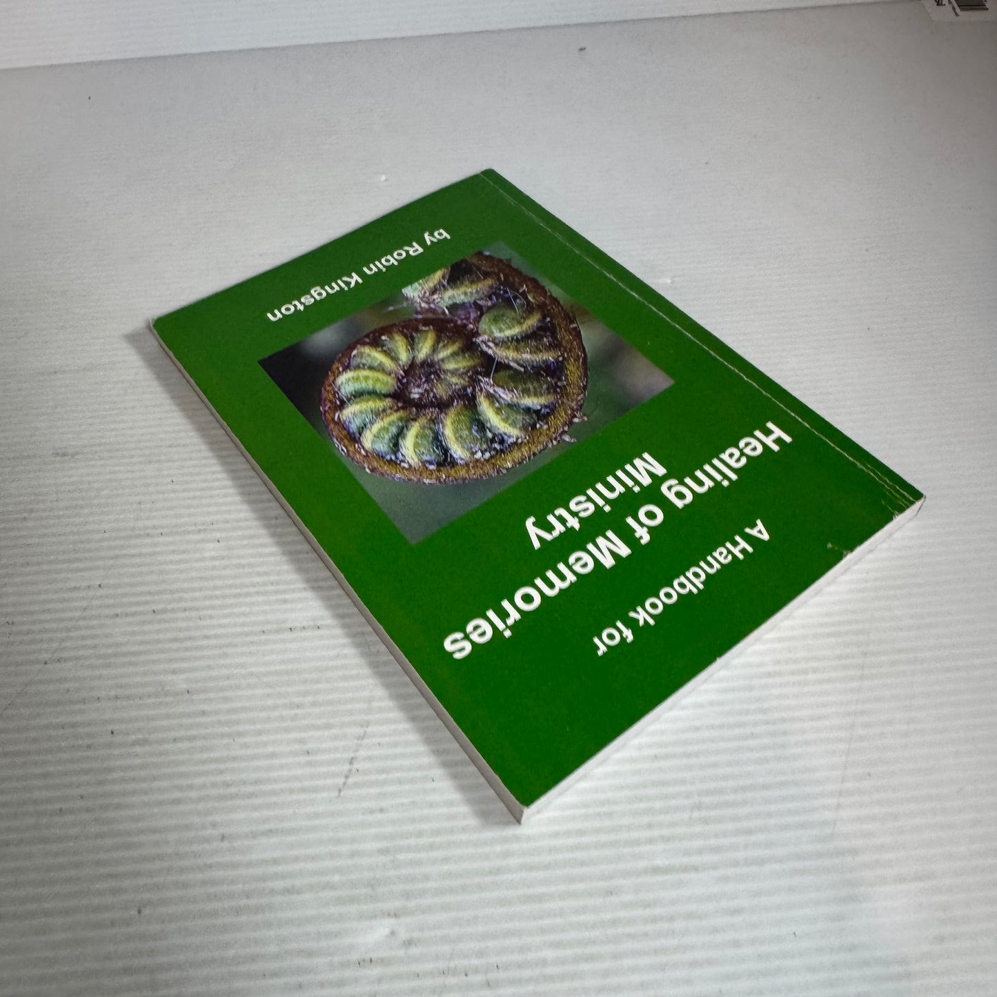A Handbook for Healing Of Memories Ministry - Robin Kingston