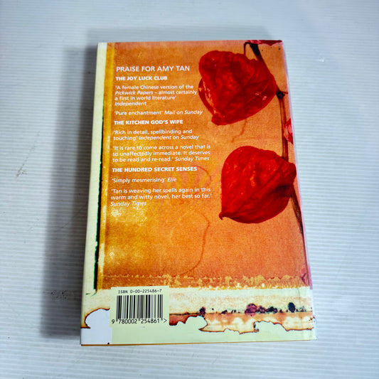 The Bonesetter's Daughter - Amy Tan