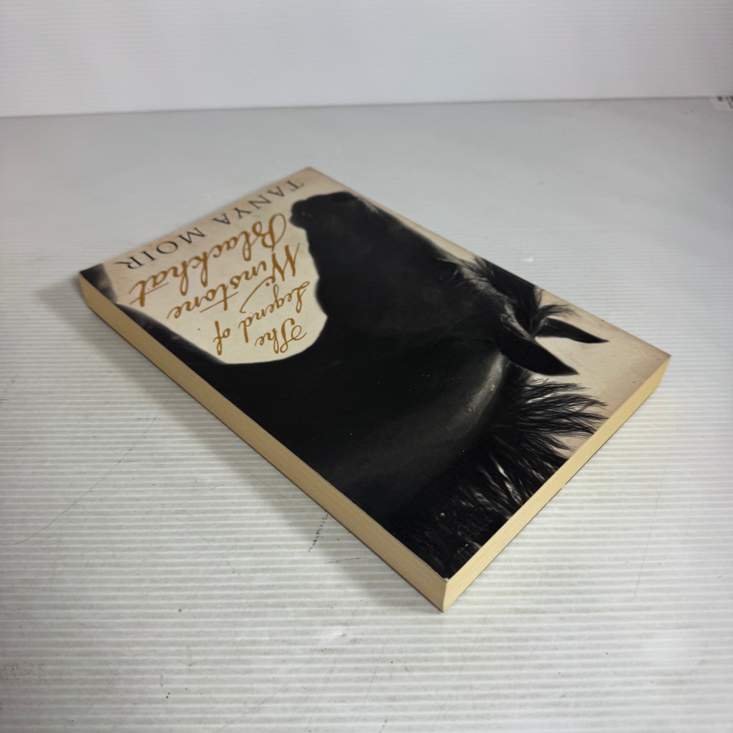 The Legend of Winstone Blackhat - Tanya Moir