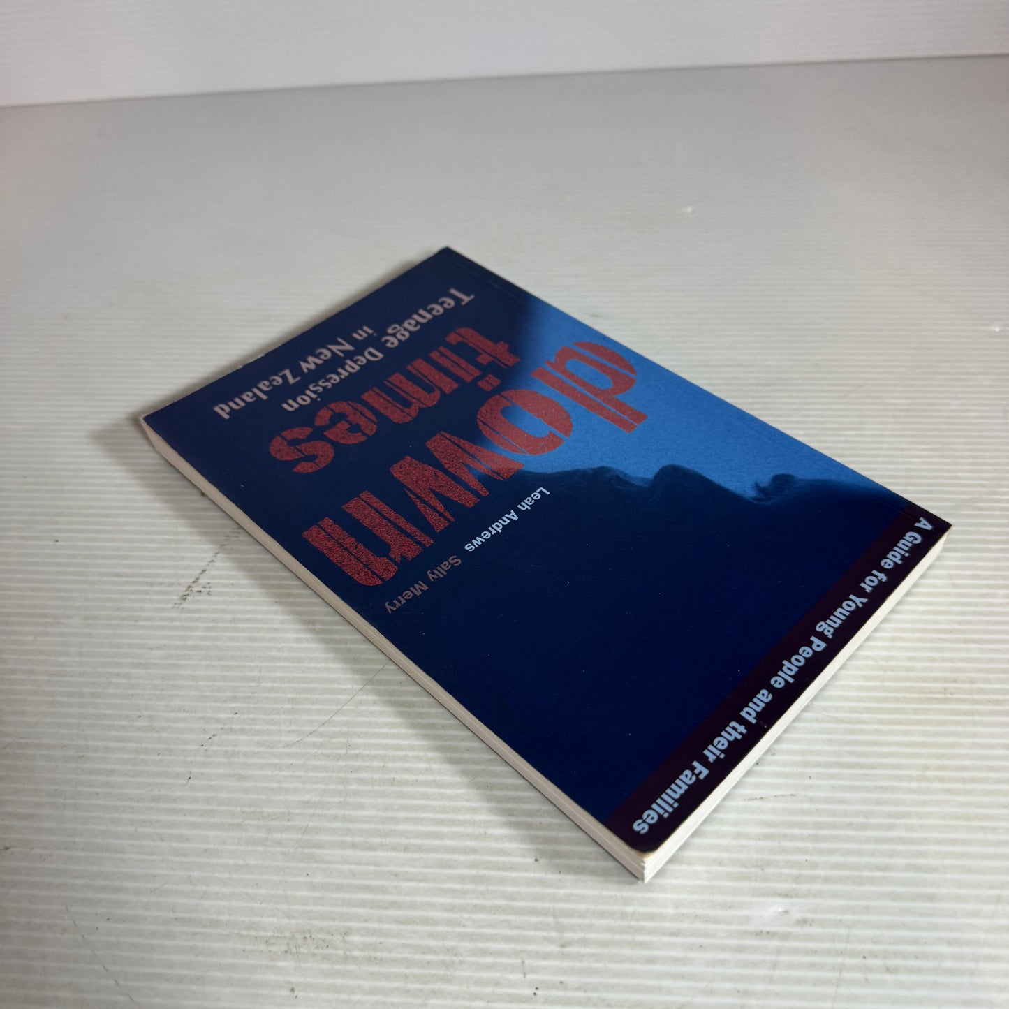 Down Times : Teenage Depression in New Zealand - Leah Andrews