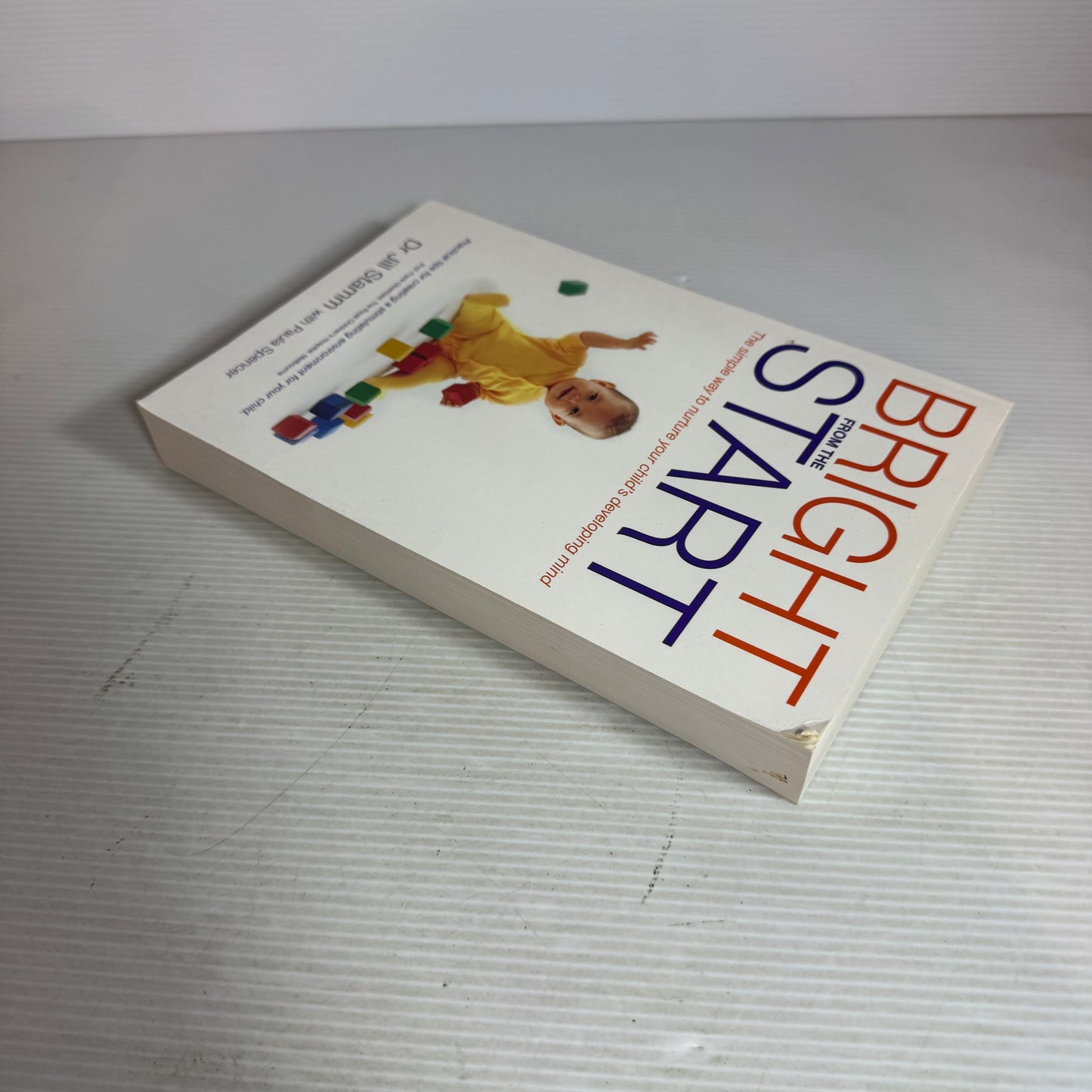 Bright From The Start : The Simple Way to Nurture Your Child's Developing Mind - Dr Jill Stamm
