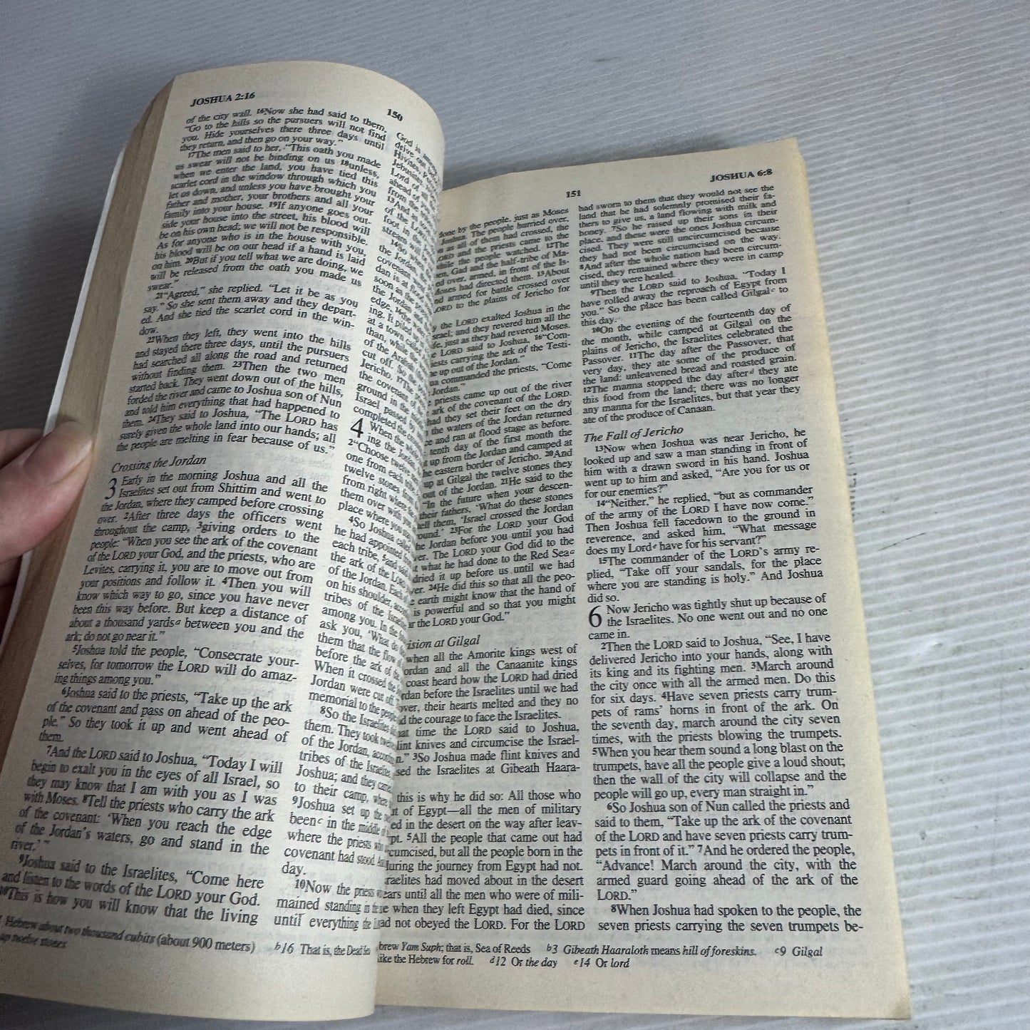 Holy Bible New International Version
