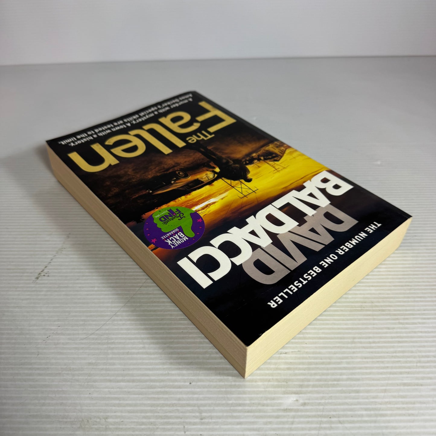 The Fallen - David Baldacci
