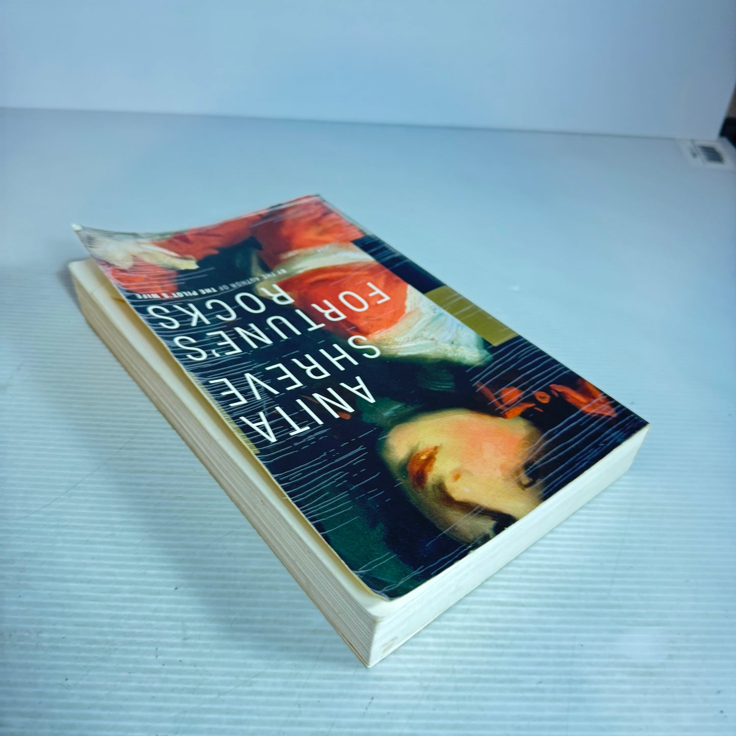 Fortune's Rocks - Anita Shreve