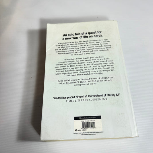The Idiot Gods - David Zindell