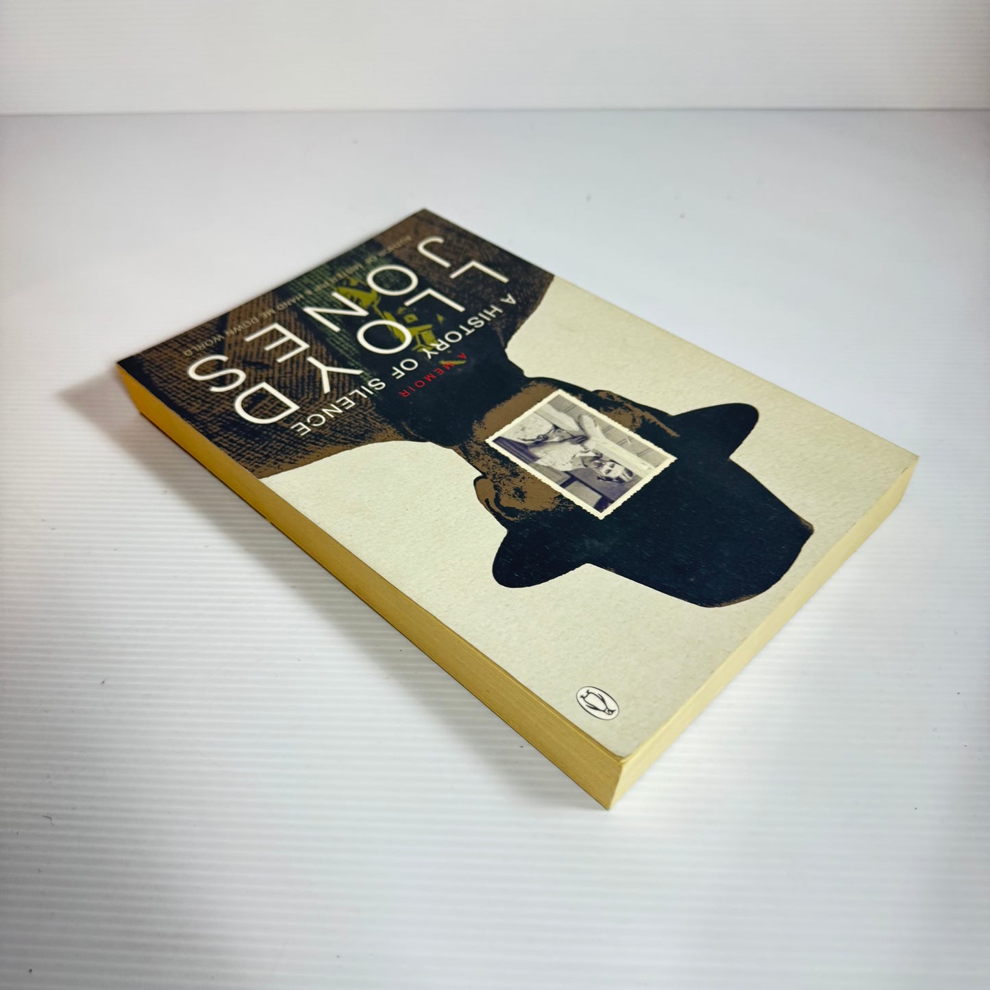 A History Of Silence - Lloyd Jones