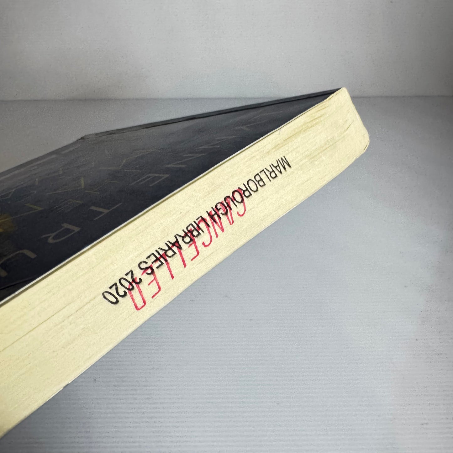 The Man That Got Away - Lynne Truss