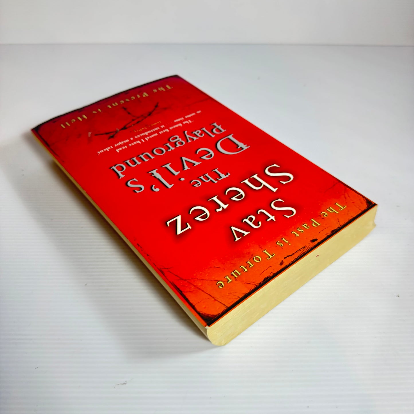 The Devil's Playground - Stav Sherez