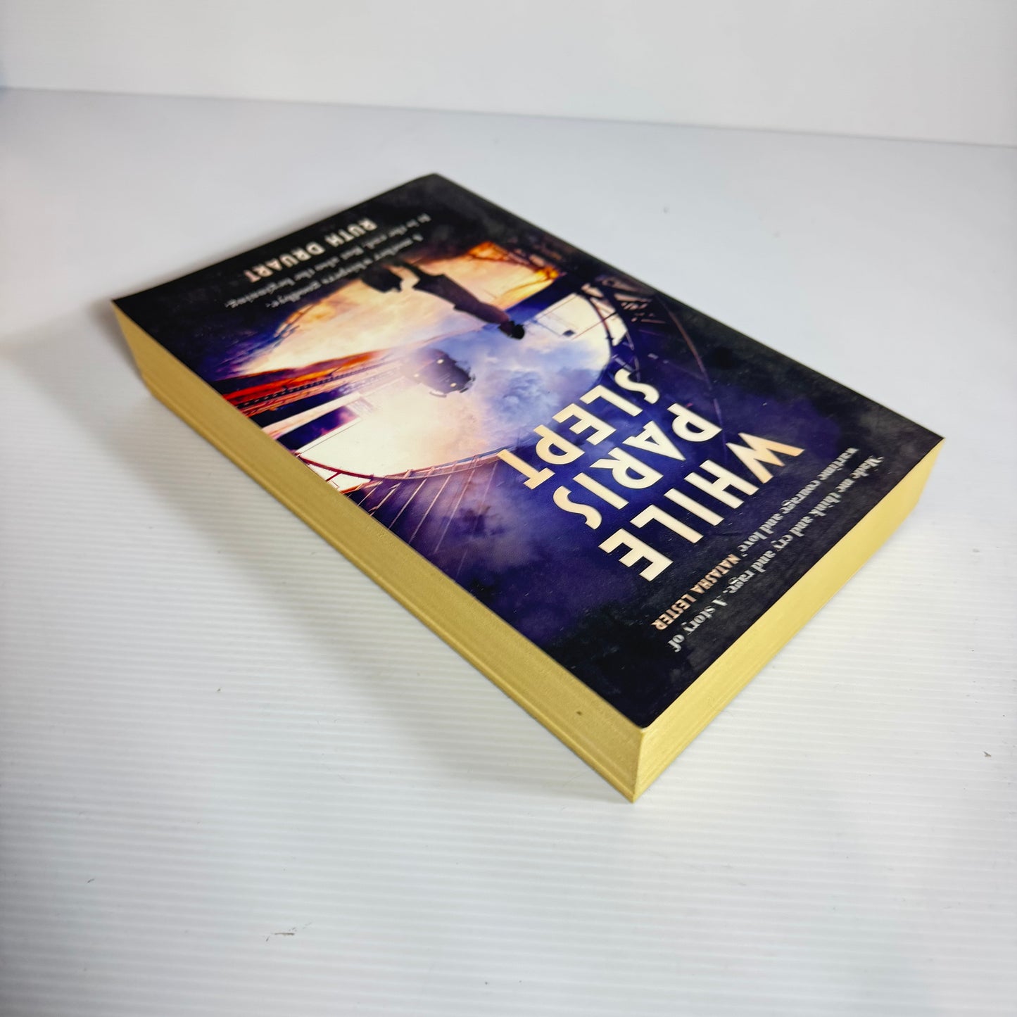 While Paris Slept - Ruth Druart
