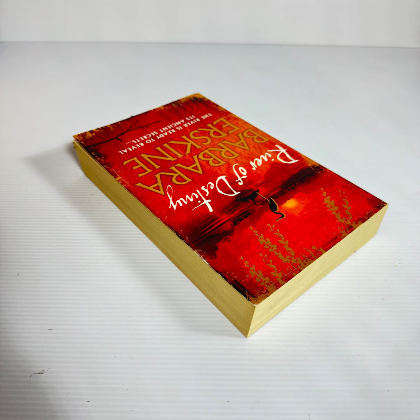 River of Destiny - Barbara Erskine
