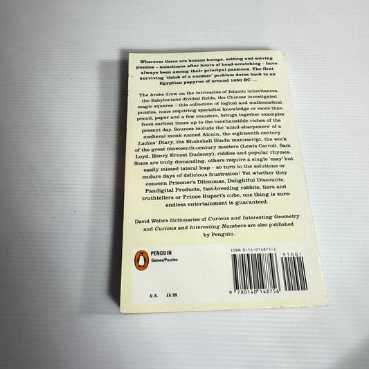 The Penguin Book of Curious and Interesting Puzzles - David Wells