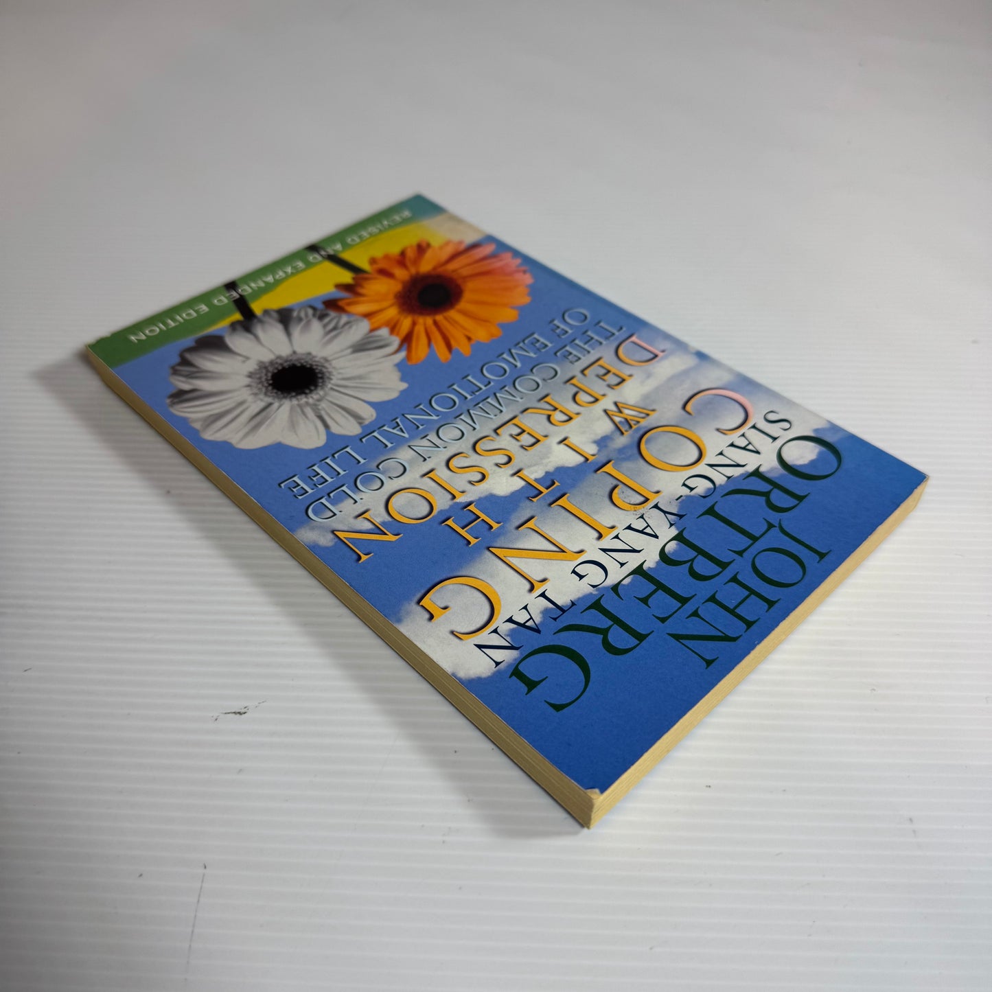 Coping With Depression : The Common Cold of Emotional Life - John Ortberg & Siang-Yang Tan