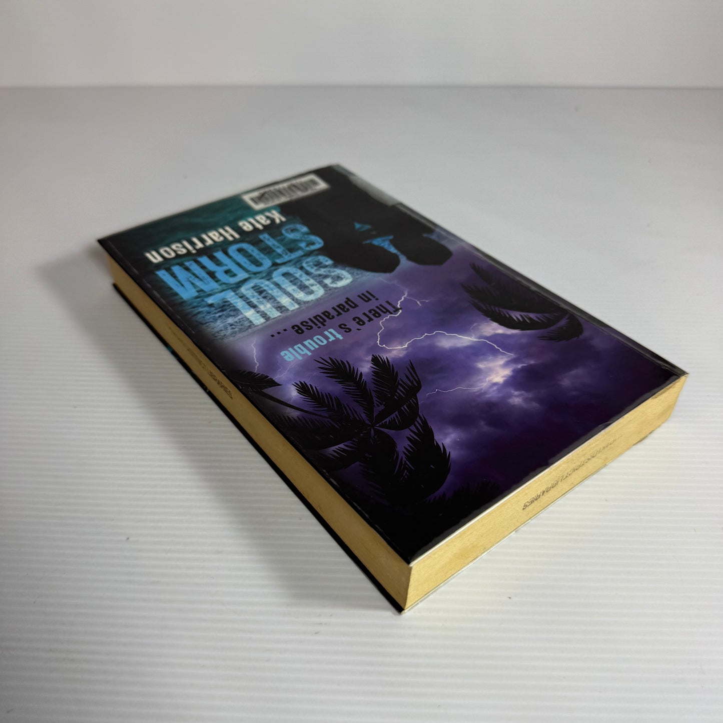 Soul Storm - Kate Harrison