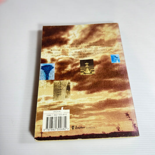 Almost Heaven - Marianne Wiggins