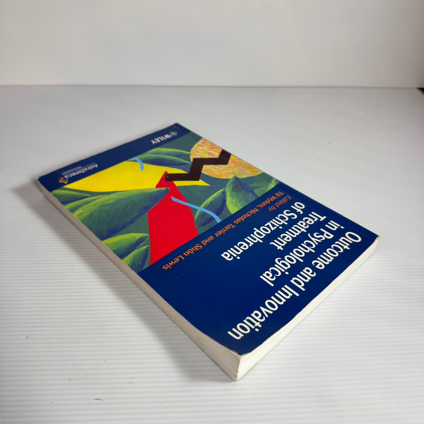 Outcome And Innovation In Psychological Treatment Of Schizophrenia - Til Wykes, Nicholas Tarrier, And Shon Lewis (1999)