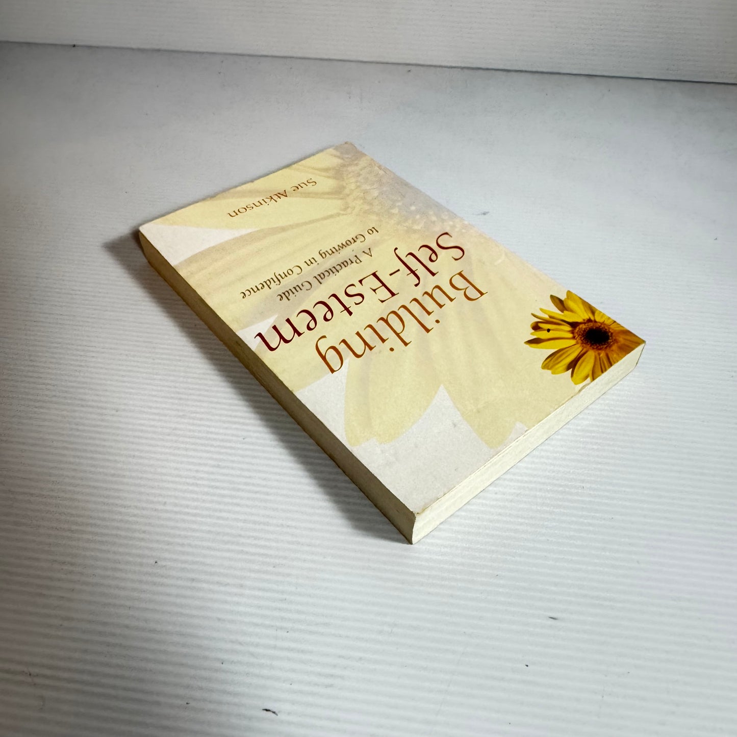 Building Self-Esteem : A Practical Guide to Growing in Confidence - Sue Atkinson