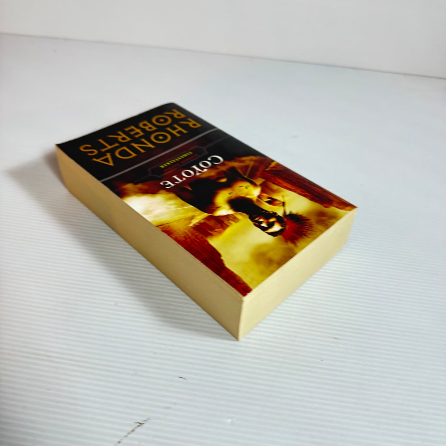 Coyote : Time Stalker - Rhonda Roberts