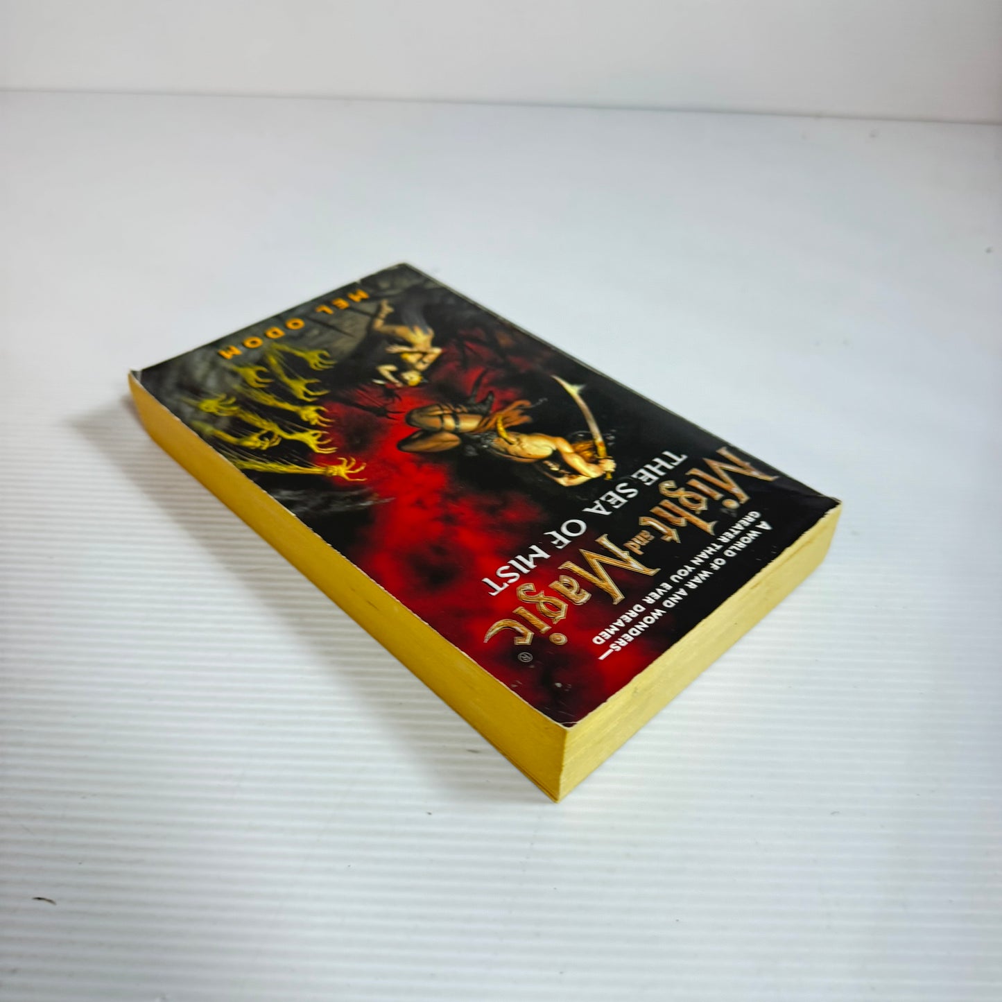 Might and Magic : The Sea of Mist - Mel Odom