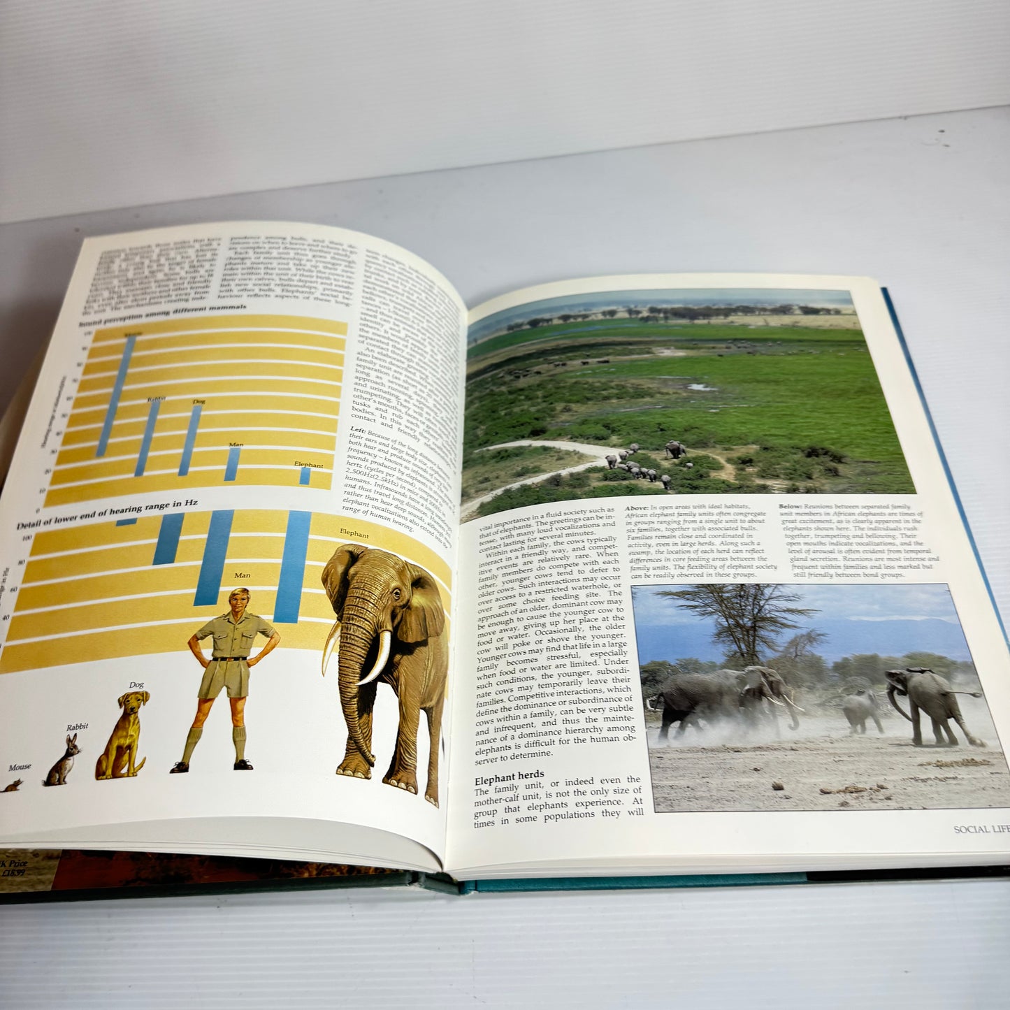The Illustrated Encyclopedia Of Elephants (Vintage 1977)