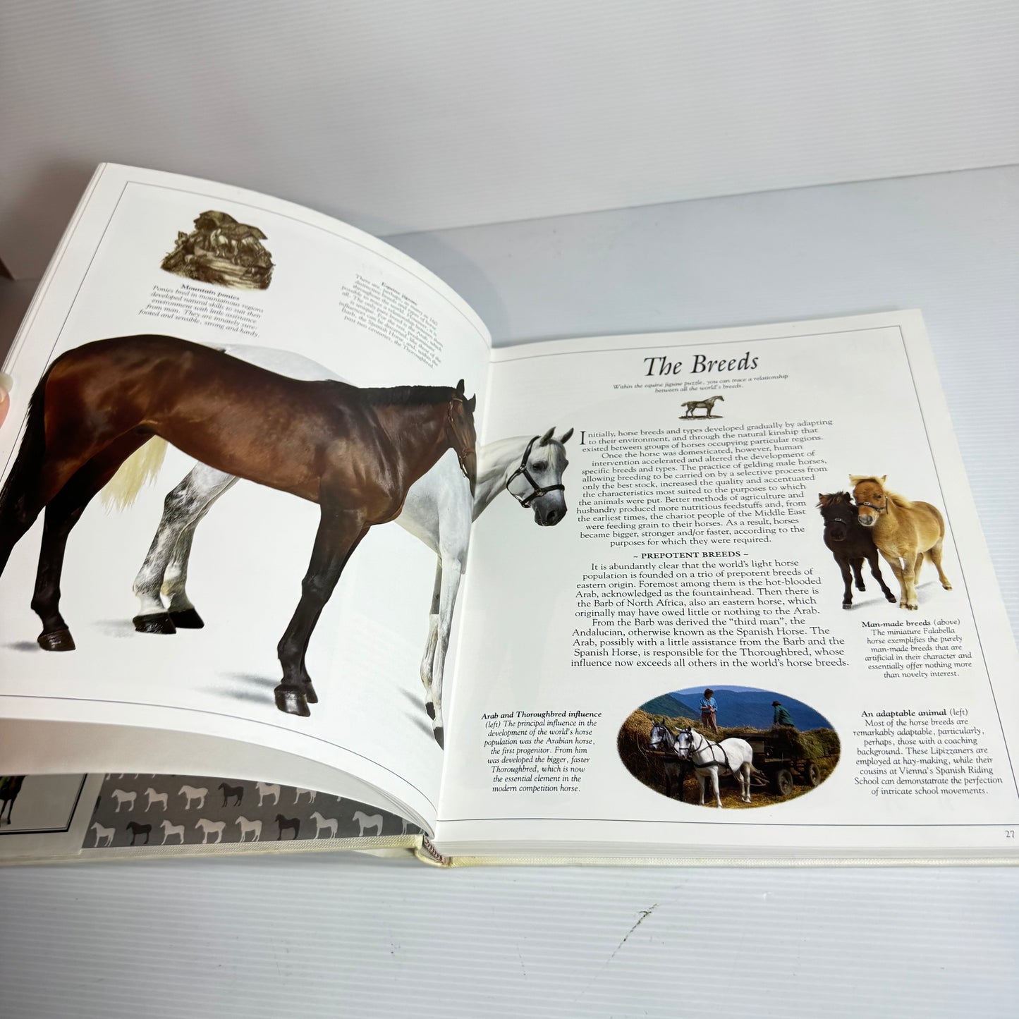 The Ultimate Horse Book - Elwyn Hartley Edwards (Vintage 1991)