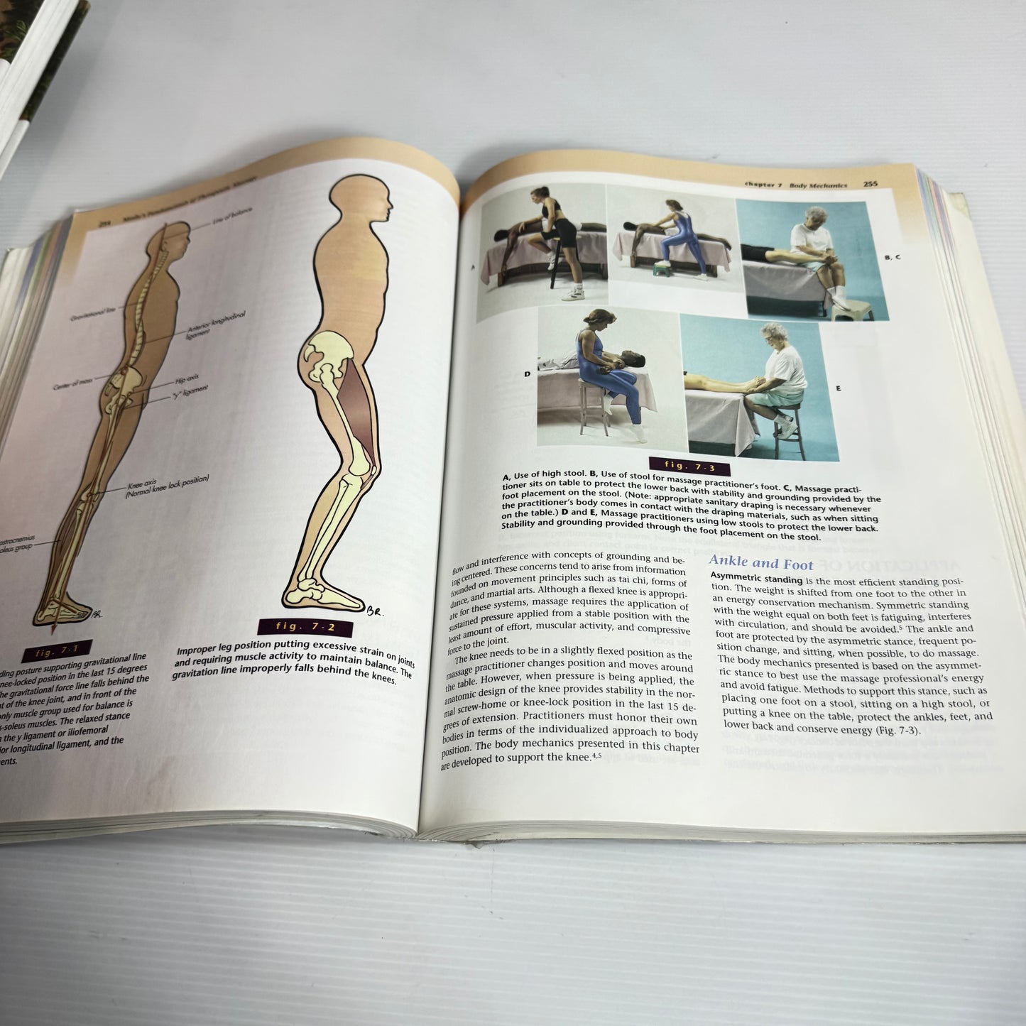 Mosby's Fundamentals Of Therapeutic Massage - Sandy Fritz