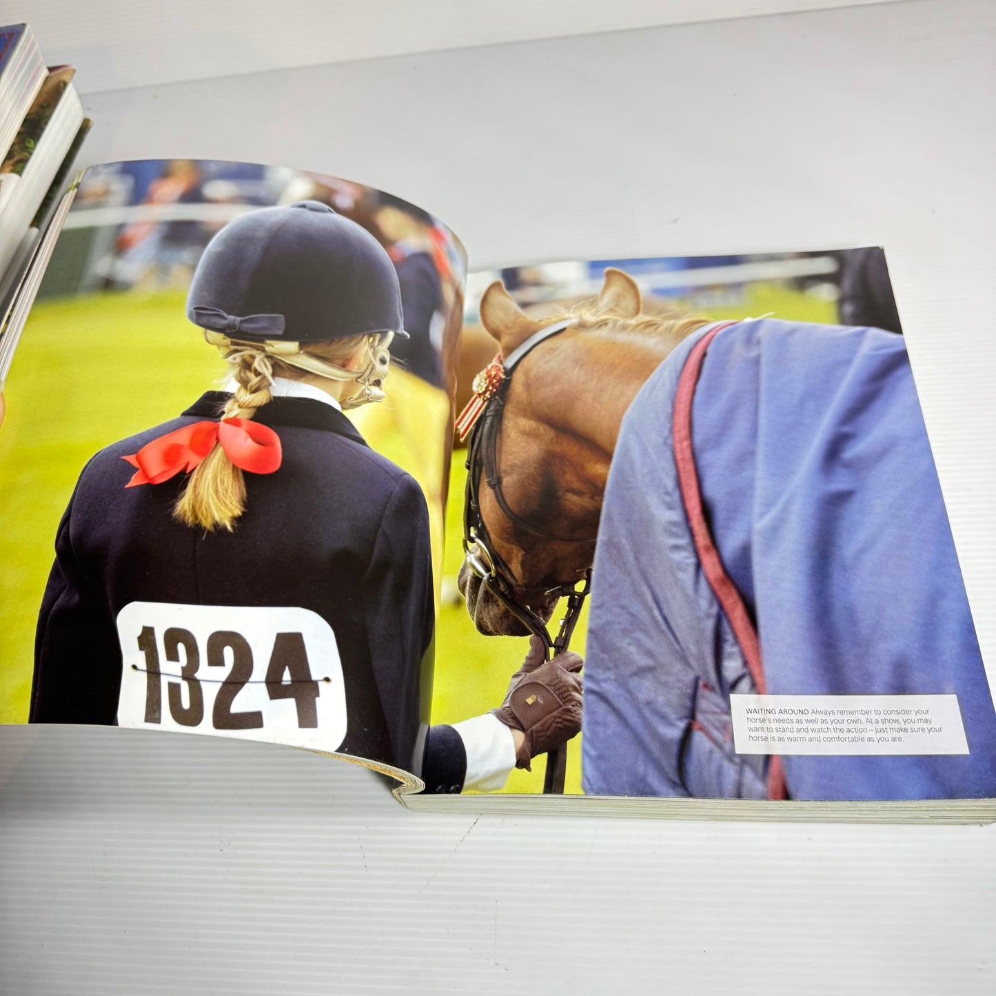 Encyclopaedia Of Horses - Debby Sly
