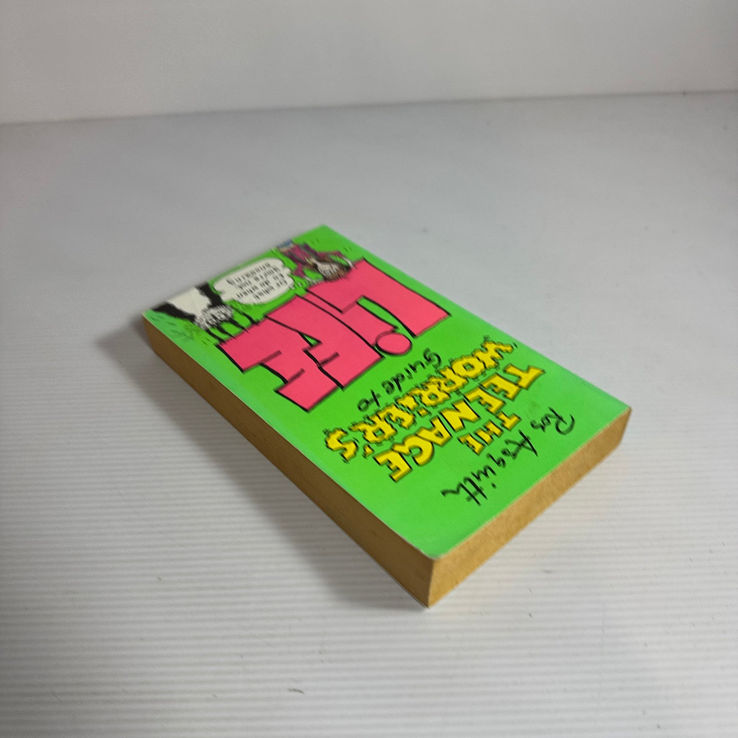 The Teenage Worrier's Guide To Life - Ros Asquith