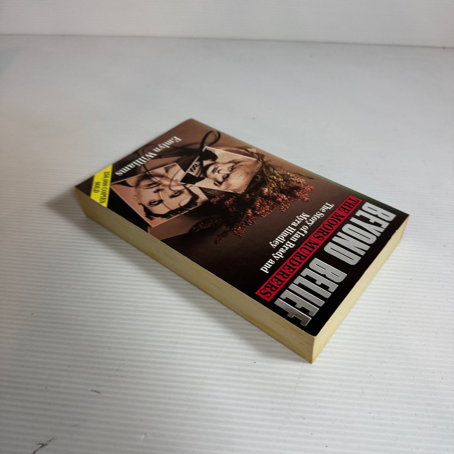 Beyond Belief : The Moors Murderers : The Story of Ian Brady and Myra Hindley - Emlyn Williams