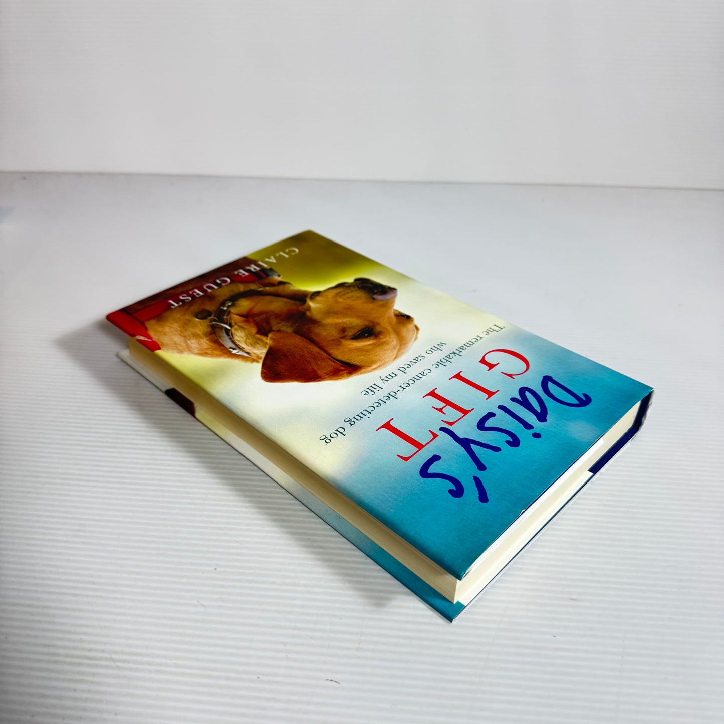 Daisy's Gift : The Remarkable Cancer-detecting Dog Who Saved My Life - Claire Guest (New)