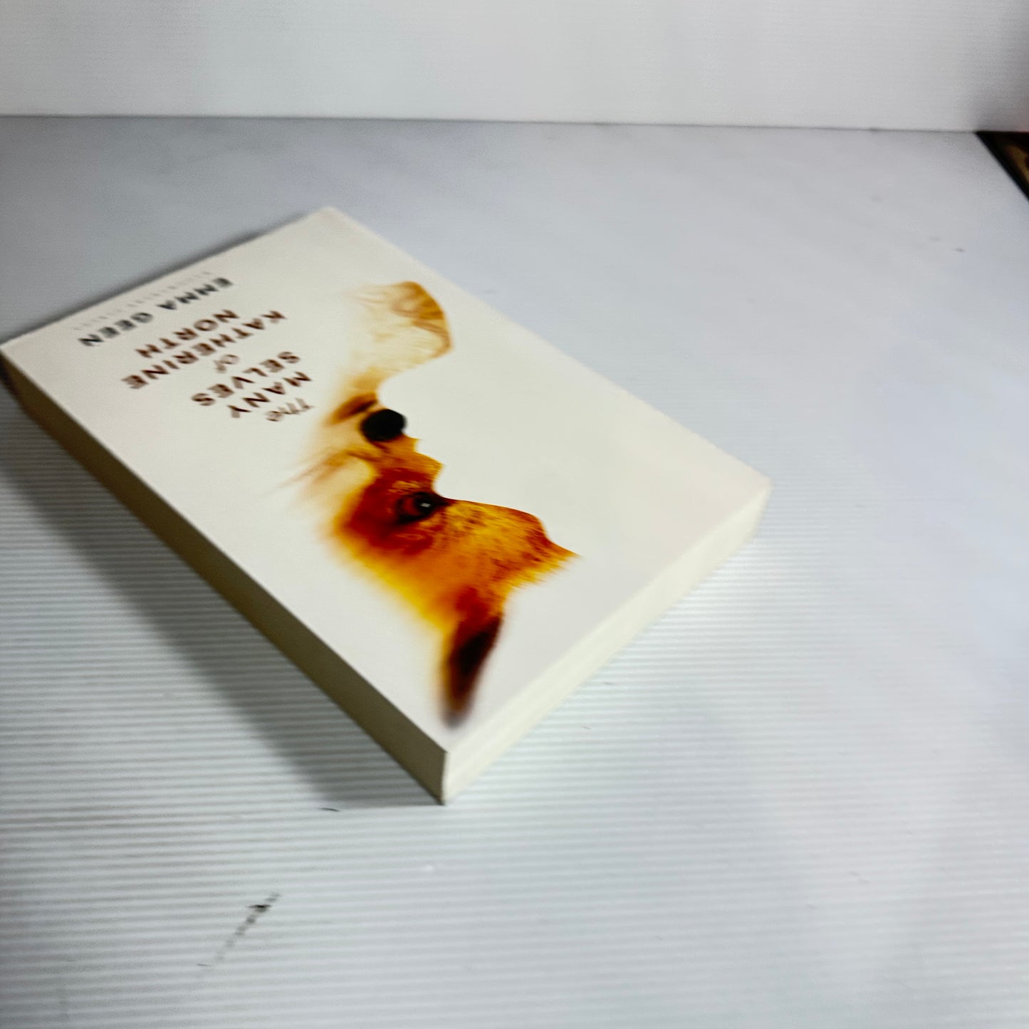 The Many Selves of Katherine North - Emma Geen (New)