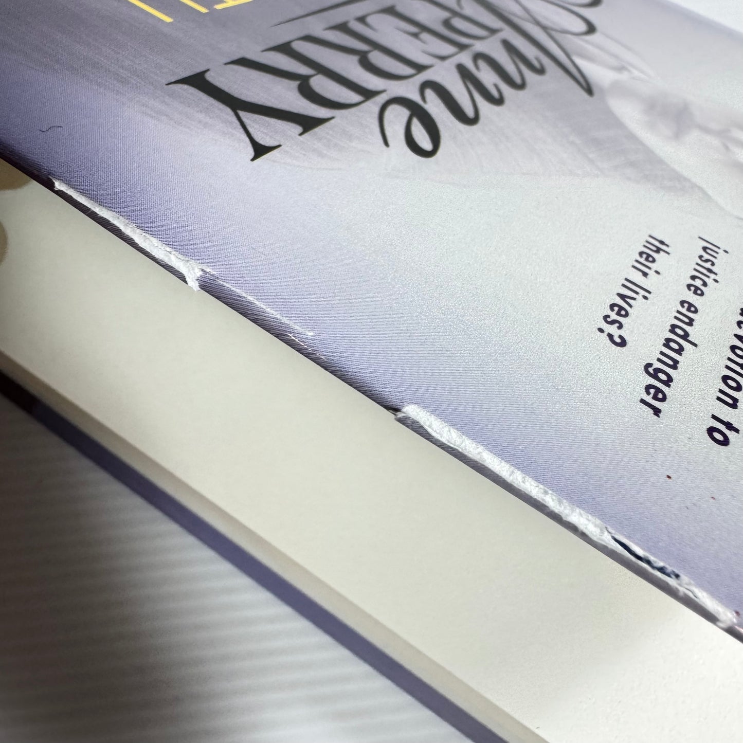 Death With A Double Edge (A Daniel Pitt Novel) - Anne Perry (New)