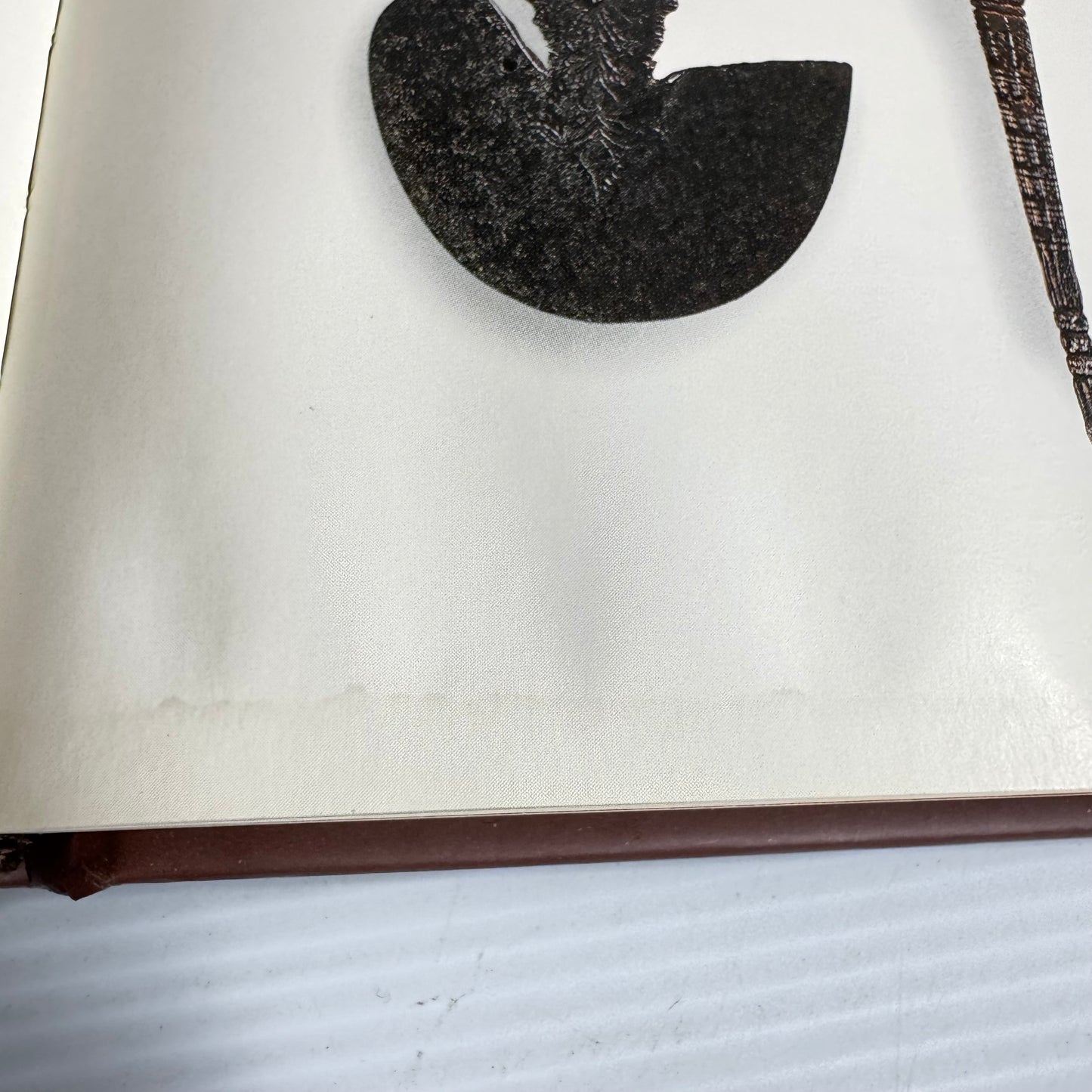 Fountain Pens: Their History And Art - Jonathan Steinberg