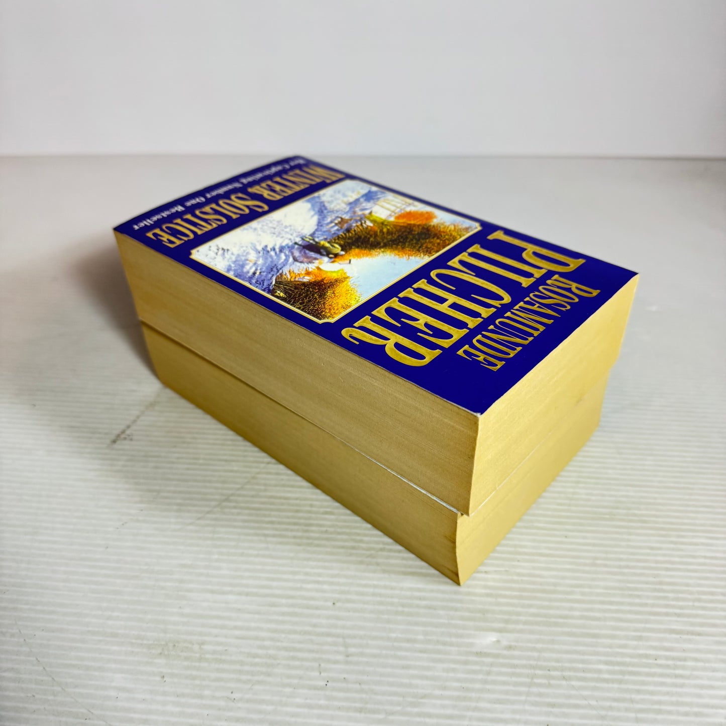 Rosamunde Pilcher Book Bundle x 2 : Winter Solstice & Coming Home (2969)