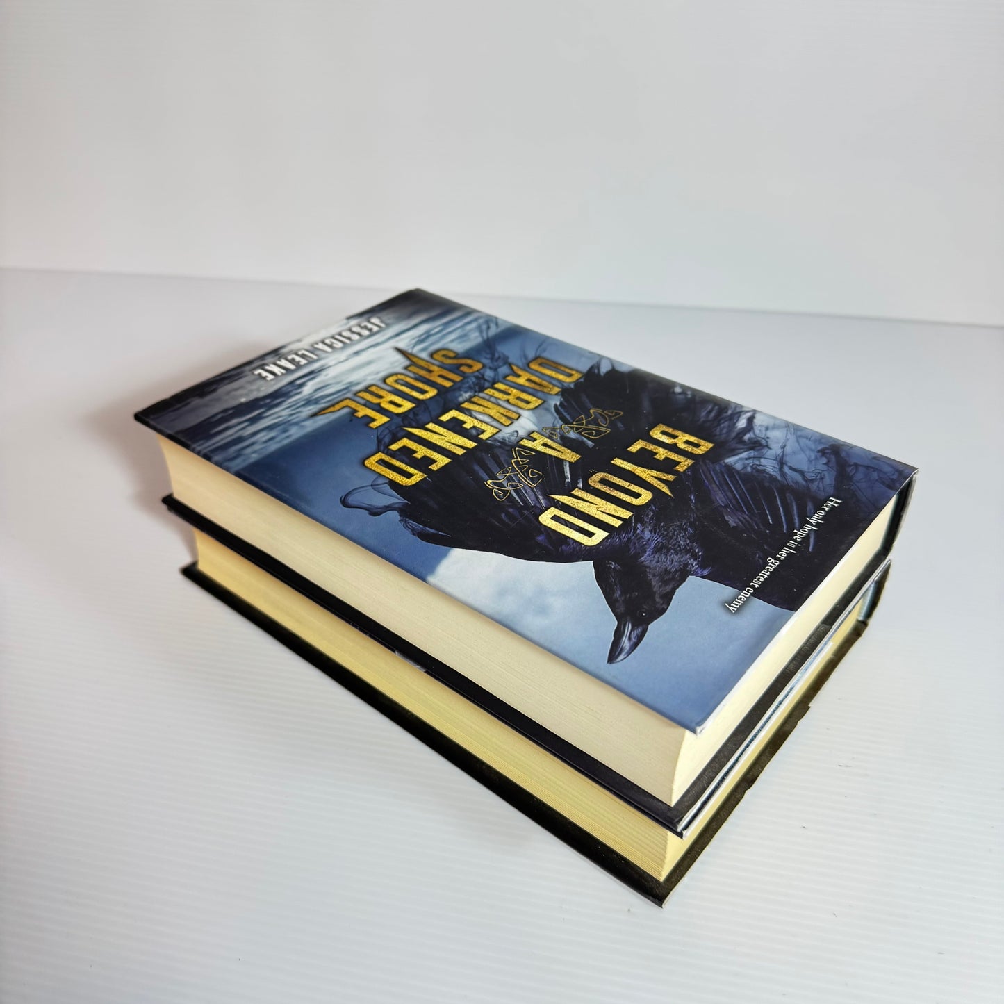 Jessica Leake Book Bundle x 2 : Beyond A Darkened Shore & Through The White Wood (3072)