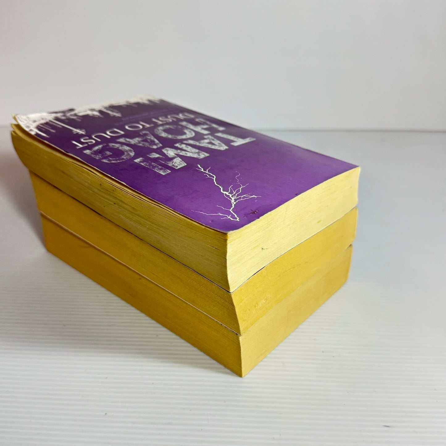 Tami Hoag Book Bundle x 3 : Dust To Dust, Dead Sky, Dark Paradise (3127)