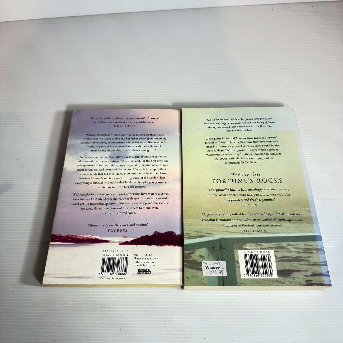 Anita Shreve Book Bundle x 2 : The Last Time They Met & Light On Snow (2442)