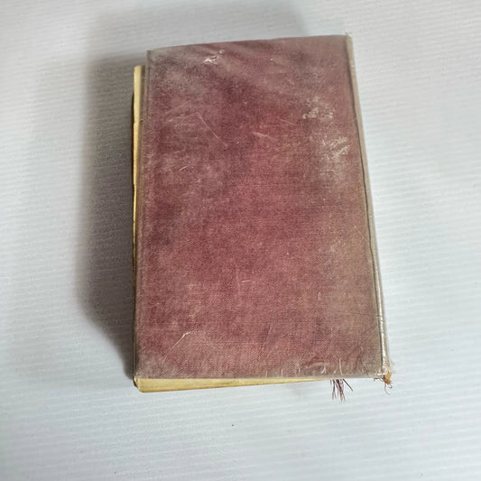 Dombey and Son - Charles Dickens (Vintage 1903-1940?)