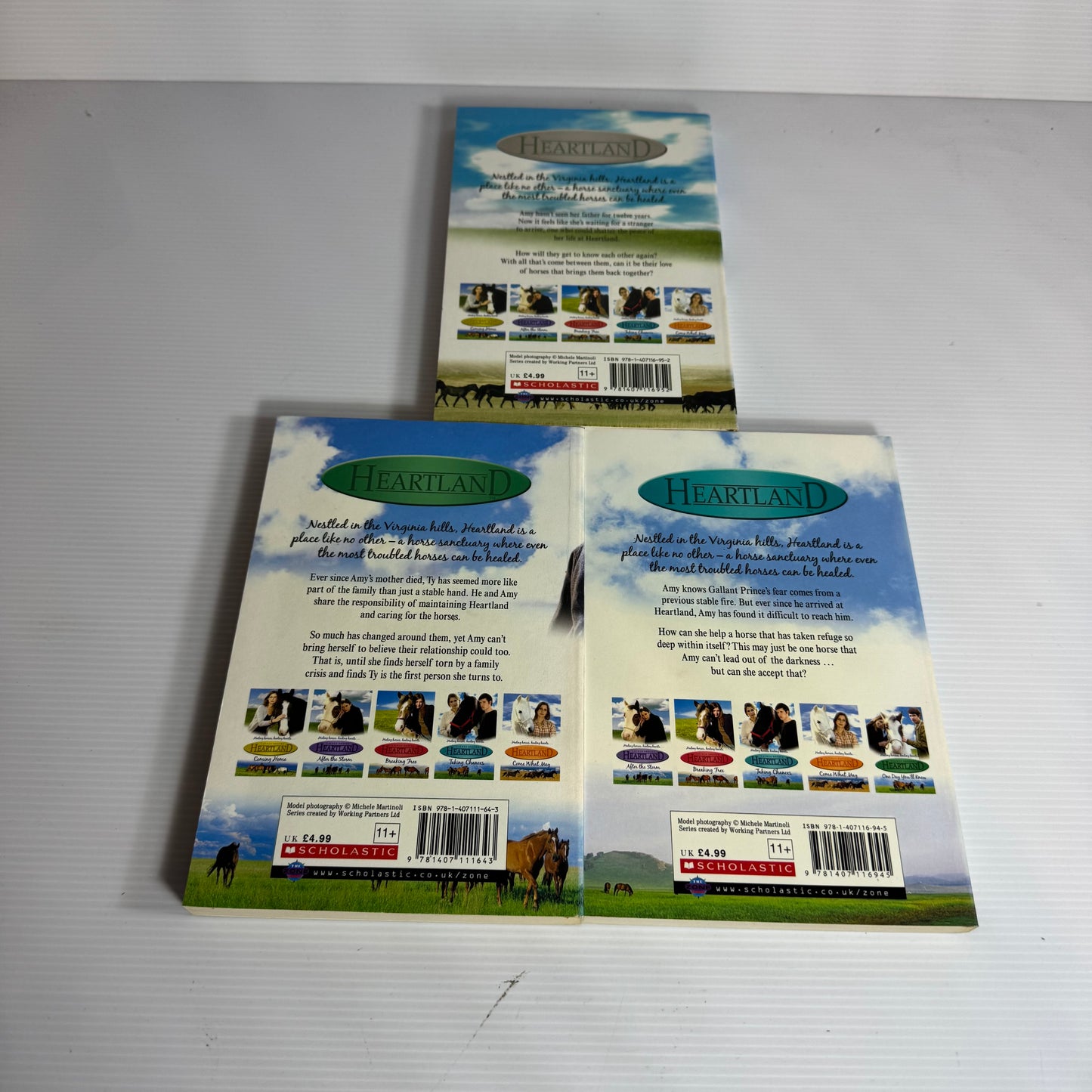 Lauren Brooke Heartland Horse Series Book Bundle x 9 Books (3184)