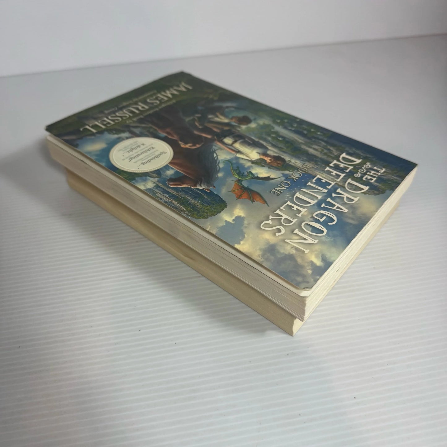 Children's Fantasy Book Bundle x 2 : The Dragon Defenders - James Russell & Tui Street Tales - Anne Kayes(2331)