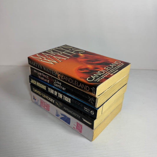 Action Adventure Thriller Bundle x 5 : Year Of The Tiger - Jack Higgins, The Perfect Husband - Lisa Gardner, Candleland - Martyn Waites, Animosity - David Lindsey, Confession - Elizabeth Gage(3416)
