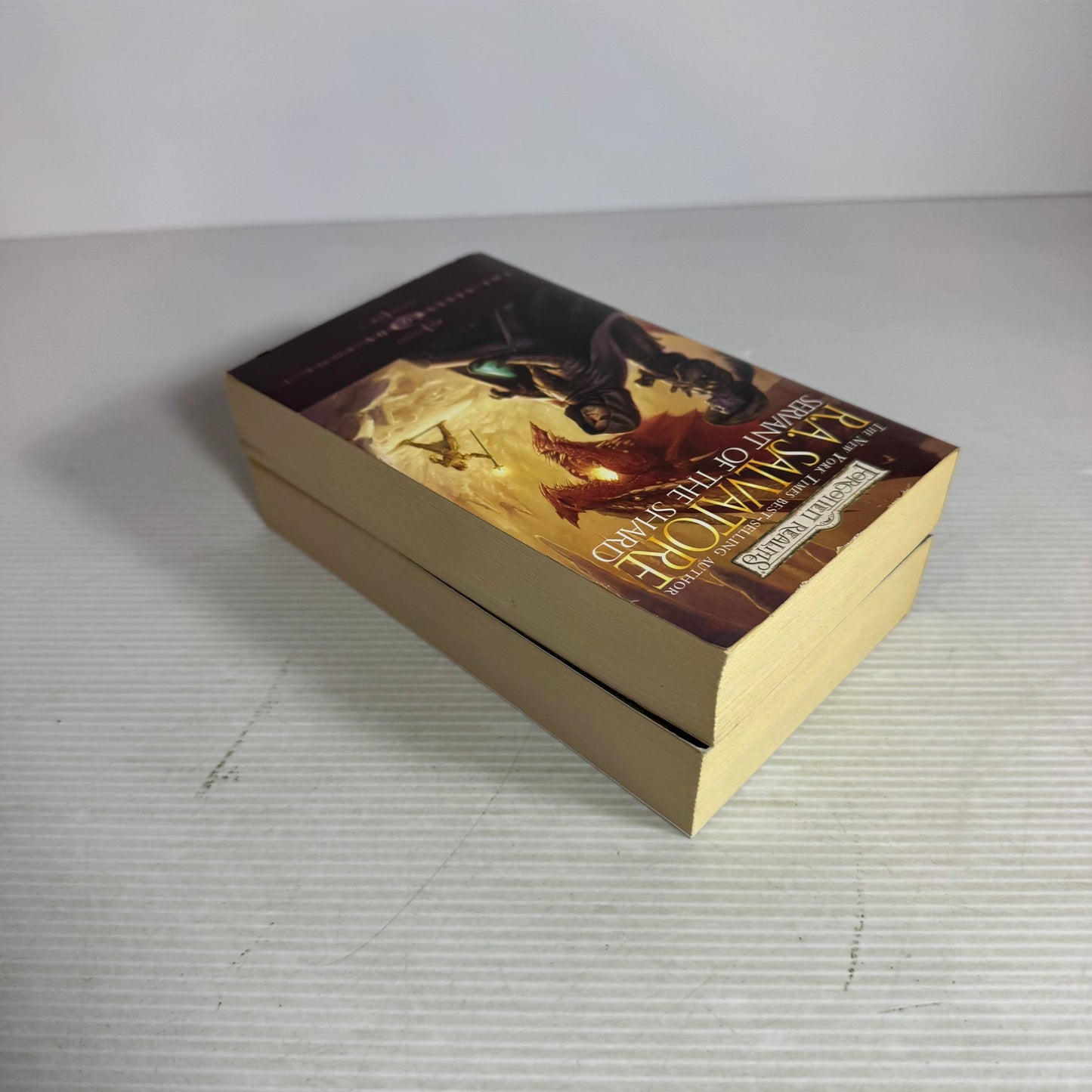 R. A. Salvatore Forgotten Realms Book Bundle x 2 : Servant of the Shard & The spine of the World (2961)