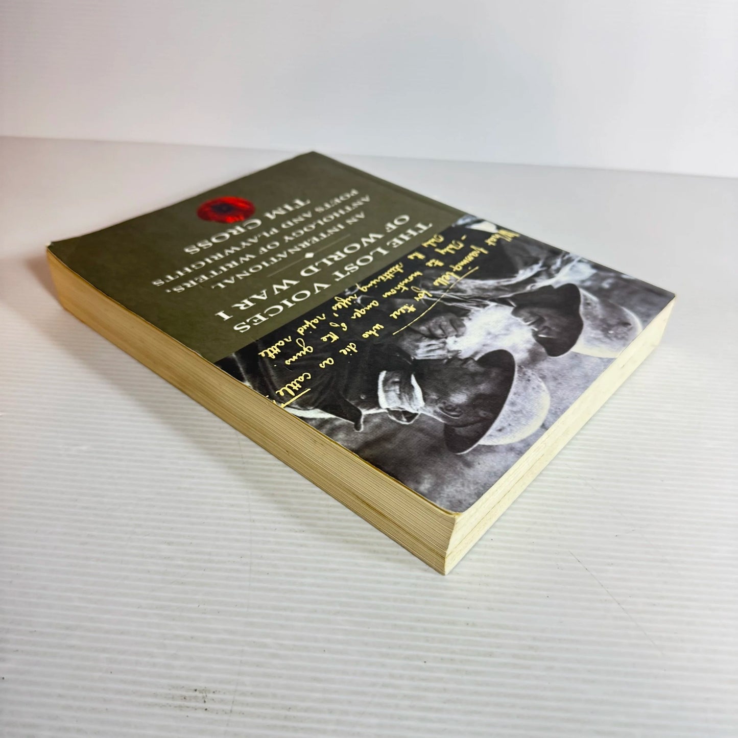 The Lost Voices of World War I : An International Anthology of Writers, Poets and Playwrights - Tim Cross