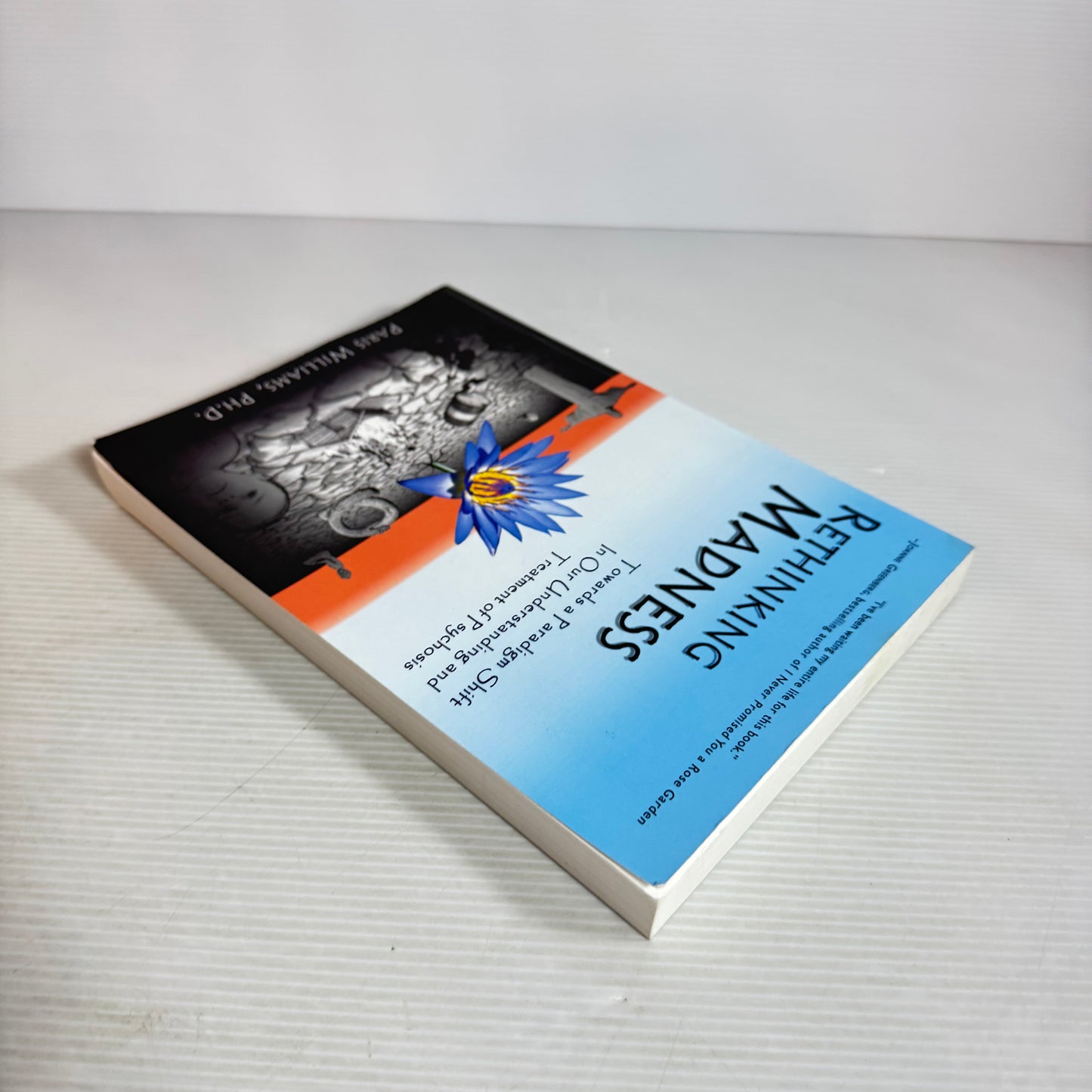 Rethinking Madness - Paris Williams