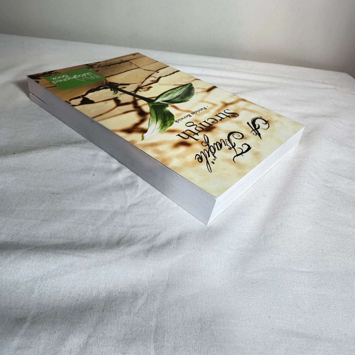 A Fragile Strength - Patricia Berwick