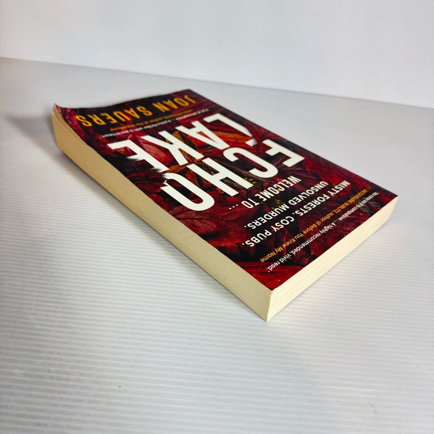 Echo Lake - Joan Sauers