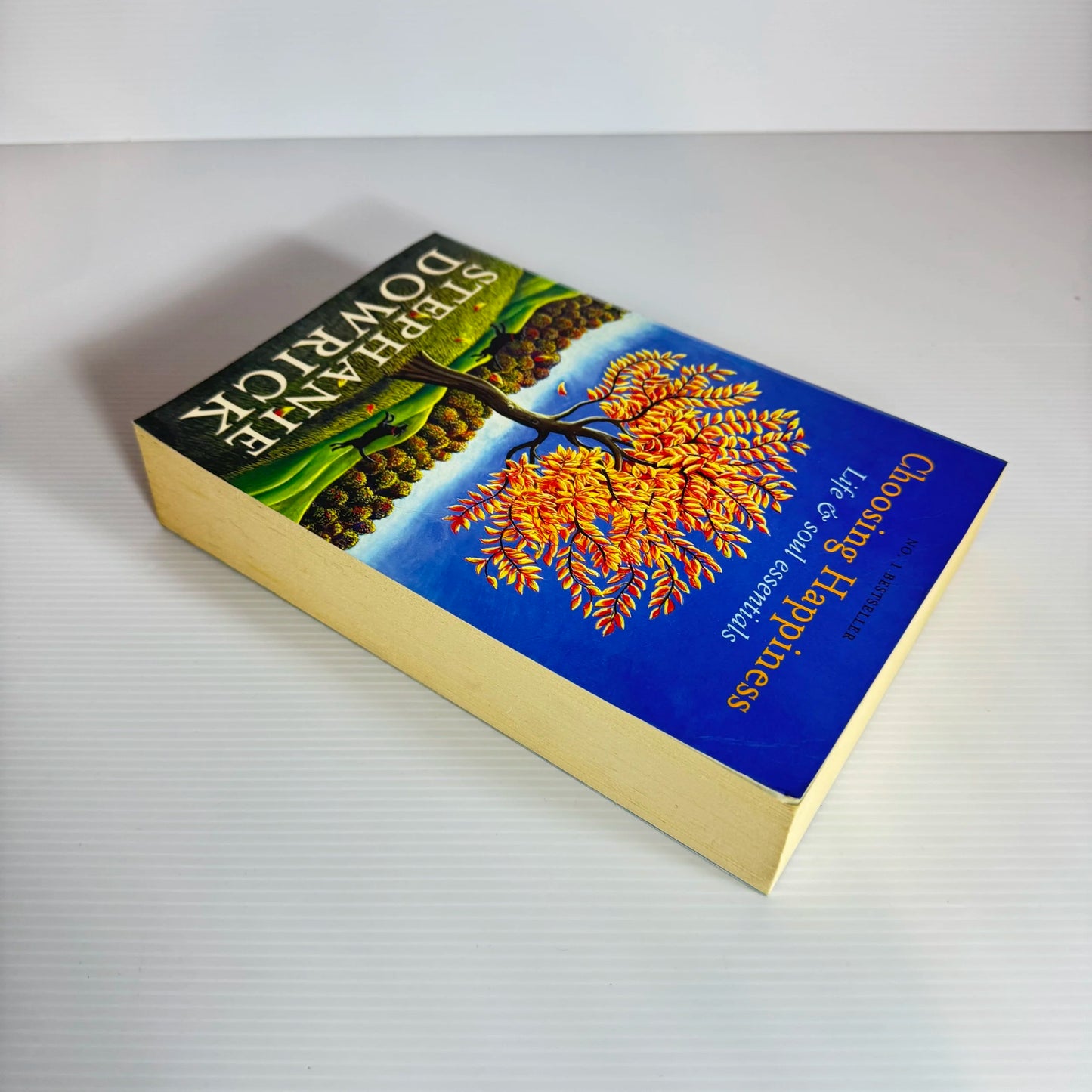 Choosing Happiness : Life & Soul Essentials - Stephanie Dowrick