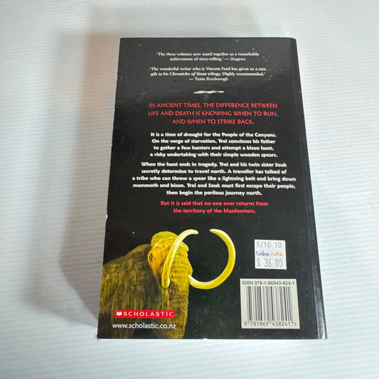 Chronicles of Stone - Vincent Ford