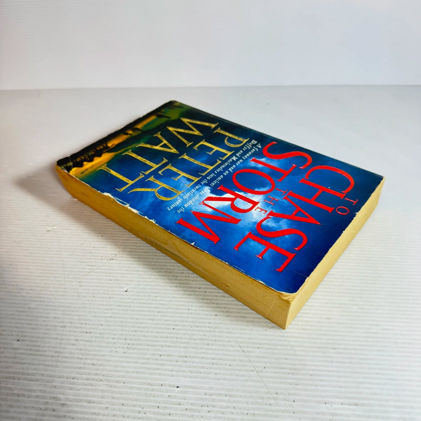 To Chase the Storm - Peter Watt