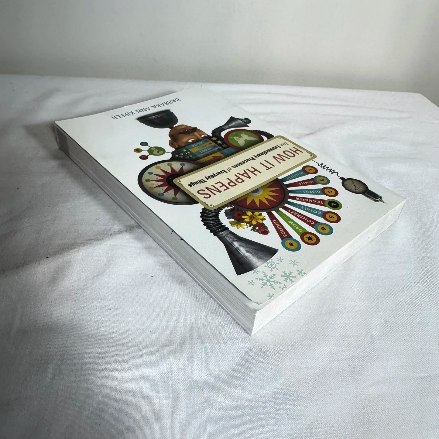 How It Happens The Extraordinary Processes of Everyday Things - Barbara Ann Kipfer