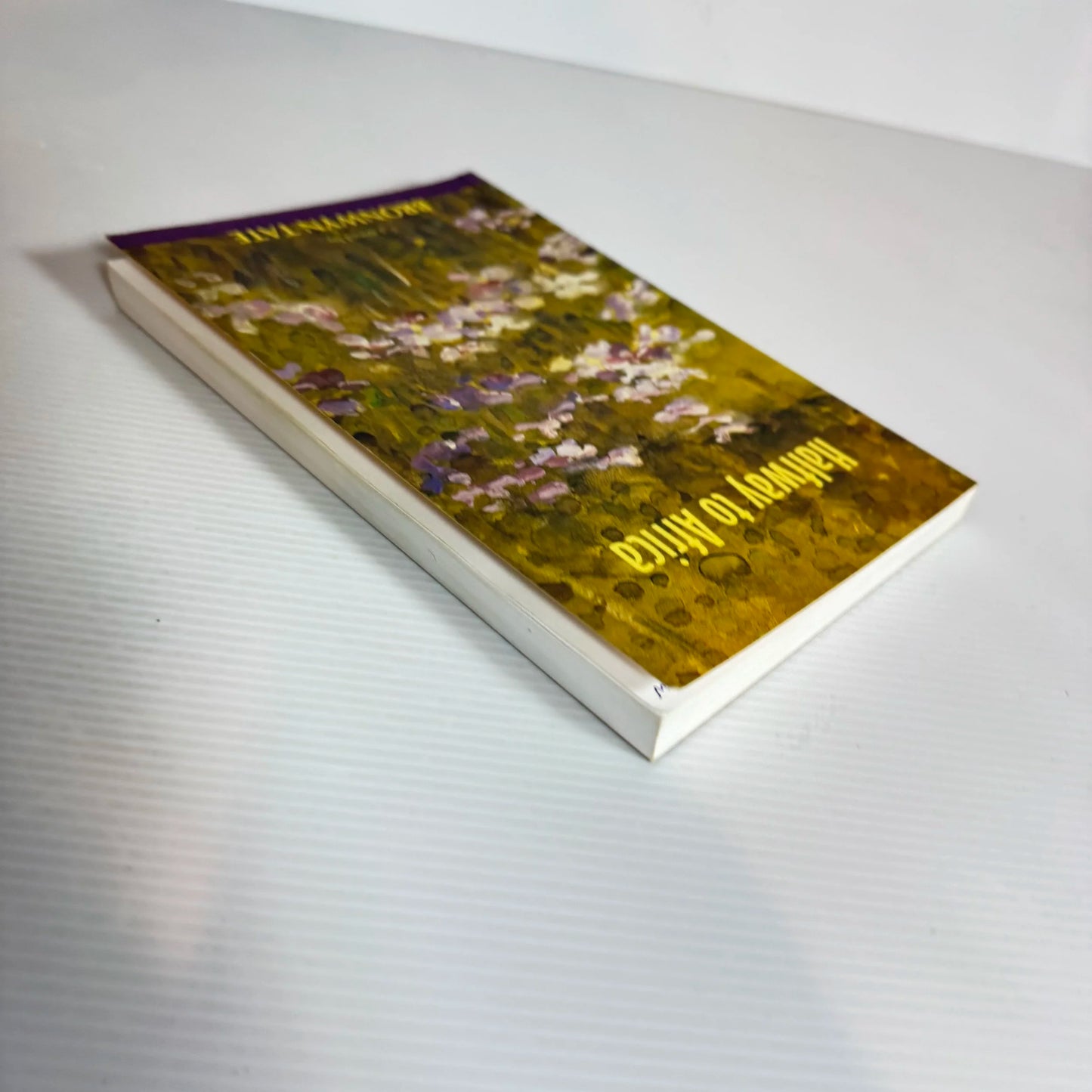 Halfway to Africa - Bronwyn Tate
